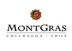 Montgras Sauvignon Blanc Reserva 2008, San Antonio Valley Bottle