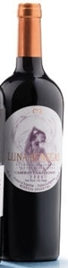 Benegas Luna Cabernet Sauvignon 2006, Mendoza Bottle
