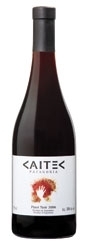 Caitec Pinot Noir 2006, Patagonia Bottle