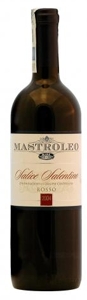 Mastroleo Salice Salentino Riserva 2004, Doc Bottle