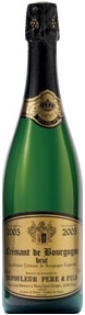 Dufouleur Père & Fils Crémant De Bourgogne Brut 2005, Ac Bottle