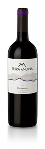Terra Andina Carmenère 2008, Central Valley Bottle