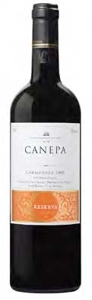 Canepa Reserva Privada Carmenère 2008, Rapel Valley Bottle