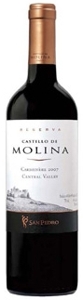 Castillo De Molina Reserva Carmenère 2007, Central Valley Bottle