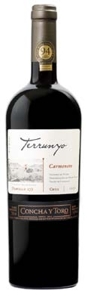 Concha Y Toro Terrunyo Block 27 Carmenère 2006, Peumo, Cachapoal, Rapel Valley Bottle