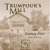 Trumpour's Mill Gamay Noir 2008, Ontario Bottle
