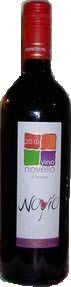 Mezzacorona Novio Vino Novello 2010 Bottle