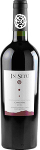 Viña San Esteban In Situ Winemaker's Selection Carmenère 2008, Aconcagua Bottle