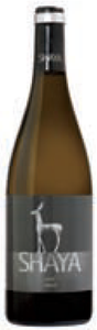 Bodegas Shaya Verdejo 2009, Do Rueda Bottle
