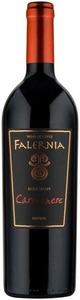 Falernia Reserva Carmenère 2007, Elqui Valley Bottle