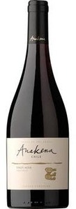 Anakena Single Vineyard Pinot Noir 2010, Leyda Valley Bottle