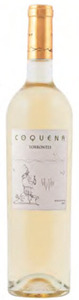 Coquena Torrontes 2011, Tolombon, Cafayate Valley, Salta Bottle