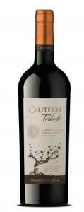 Caliterra Tributo Cabernet Sauvignon Single Vineyard Block Vignoble Quillay 2010, Valle Del Colchagua Bottle