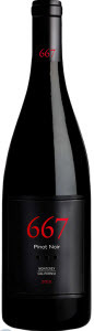 667 Noble Vines Pinot Noir 2010, Monterey Bottle