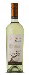 Caliterra Tributo Sauvignon Blanc Bottle