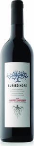 Buried Hope Cabernet Sauvignon 2010, North Coast Bottle