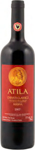 Montiverdi Atila Chianti Classico Riserva 2007 Bottle