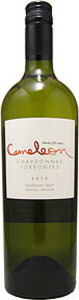 Jean Bousquet Cameleon Torrontés/Chardonnay 2013, Tupungato Valley, Mendoza Bottle