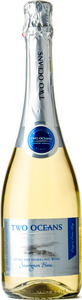 Two Oceans Sauvignon Blanc Extra Dry Sparkling Wine 2013, Western Cape Bottle