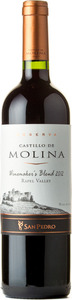 Castillo De Molina Winemaker's Blend 2012 Bottle