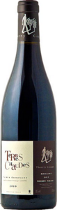 Domaine Des Roches Neuves Terres Chaudes 2010 Bottle