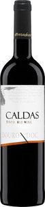 Alves De Sousa Caldas 2013 Bottle