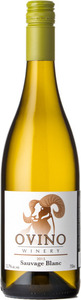 Ovino Sauvage Blanc 2015 Bottle