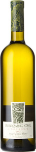 Burrowing Owl Sauvignon Blanc 2015, Okanagan Valley Bottle