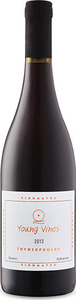 Thymiopoulos Young Vines Xinomavro 2013, Naoussa Bottle