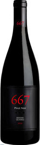 667 Noble Vines Pinot Noir 2014, Monterey Bottle