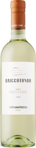 Briccotondo Gavi 2016 Bottle