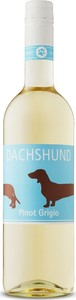 Dachshund Pinot Grigio 2016, Rheinhessen Bottle