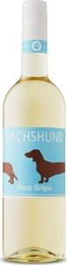 Dachshund Pinot Grigio 2017, Rheinhessen Bottle