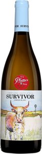 Survivor Chenin Blanc 2017, Wo Swartland Bottle