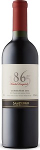 San Pedro 1865 Selected Vineyards Carmenère 2016, Do Maule Valley Bottle