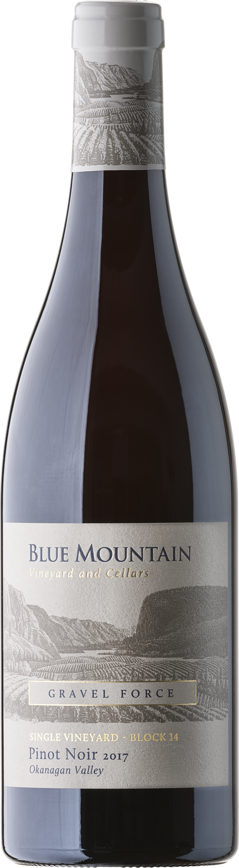 Blue Mountain Gravel Force Block 14 Pinot Noir 2017 Expert wine