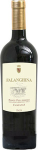 Vini Alois Ponte Pellegrino Falanghina 2019, Igp Campania Bottle