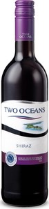 Two Oceans Shiraz 2019 Bottle