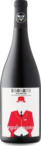 Megalomaniac Sonofabitch Pinot Noir 2018, VQA Niagara Peninsula Bottle