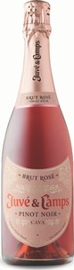Juve Y Camps Pinot Noir Brut Rosé Cava, Do Bottle