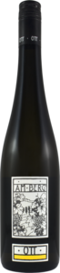 Bernhard Ott Am Berg Grüner Veltliner 2021, Lower Austria Bottle