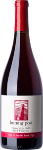 Leaning Post Pinot Noir Bock Vineyard 2020, VQA St. David's Bench Bottle