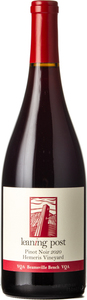 Leaning Post Pinot Noir Hemeris Vineyard 2020, VQA Beamsville Bench Bottle