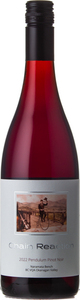 Chain Reaction Winery Pendulum Pinot Noir 2022, Naramata Bench Bottle