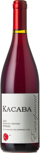 Kacaba Terraced Vineyard Syrah 2021, VQA Niagara Escarpment Bottle