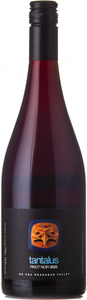 Tantalus Pinot Noir 2022, Okanagan Valley Bottle