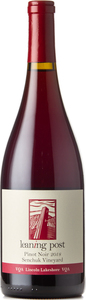 Leaning Post Pinot Noir Senchuk Vineyard 2020, VQA Lincoln Lakeshore Bottle