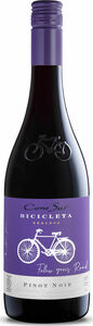 Cono Sur Bicicleta Pinot Noir 2022, Central Valley Bottle