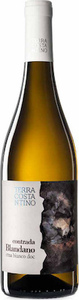 Terra Costantino Contrada Blandano 2021, Etna Bianco D.O.C. Bottle