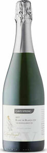 Cave Spring Csv Blanc De Blancs Brut 2017, Beamsville Bench Bottle